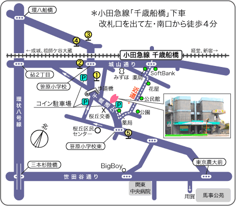 世田谷区桜丘/千歳船橋周辺地図