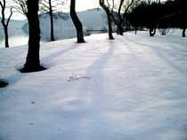 写真/野尻湖冬の朝05
