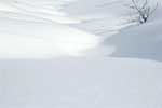 野尻湖深雪11